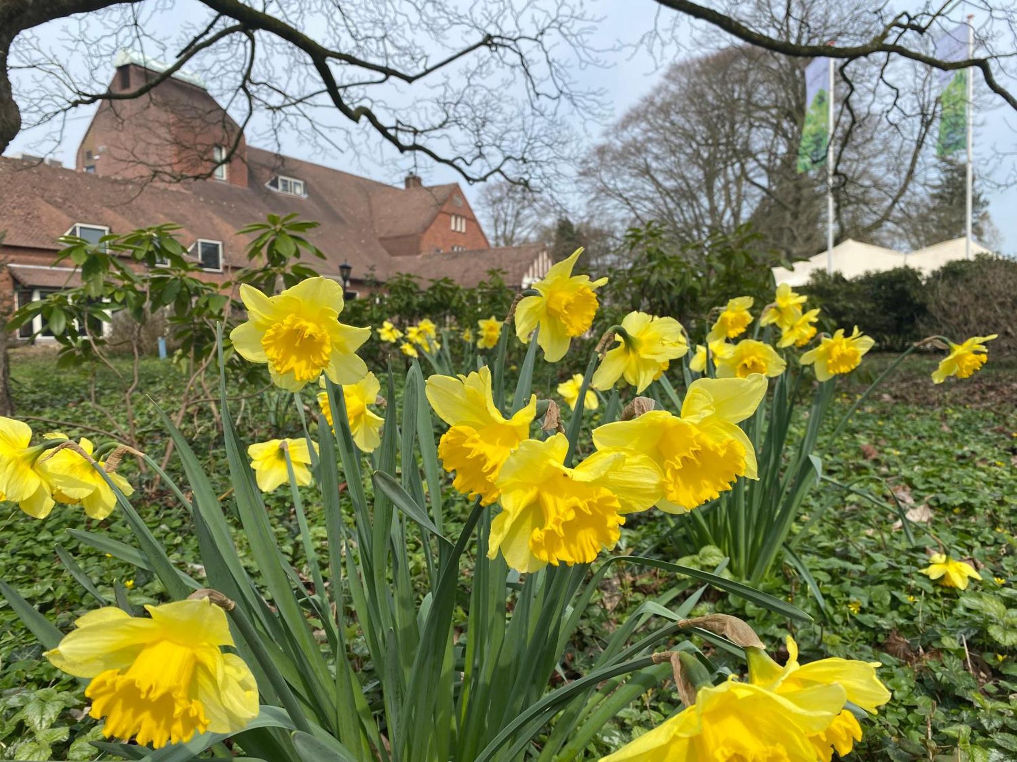 Landgoed De Wilmersberg De Lutte Exterior foto